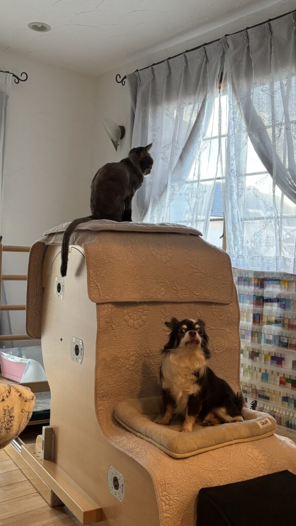 ルルベとあまね